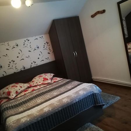 RucărCasa Raul别墅 外观 照片